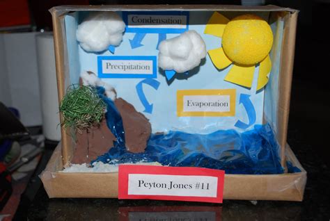 water cycle project examples